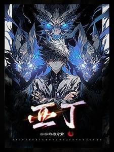 秩序之光叫啥