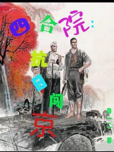 四合院抗日闯京3Q读书