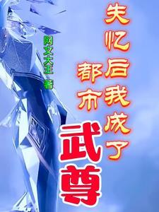 失忆后我成了豪门贵妇 作者沐兮之