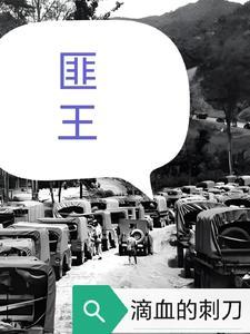 匪王1-40集全播放