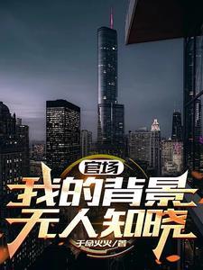 背景深厚的官场
