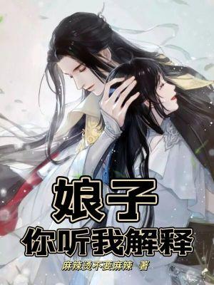 娘子你听我解释简介