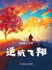 逆风飞翔故事