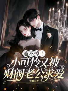 逃不掉小可怜又被财阀老公求爱 半糖