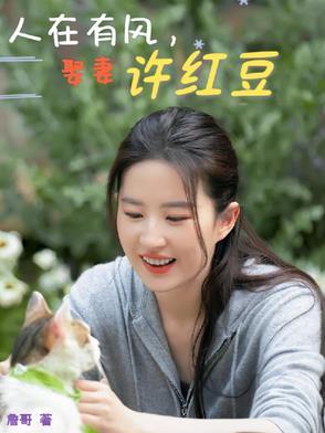 去有风的地方许红豆怀孕