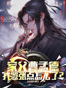 曹贼讲的是什么