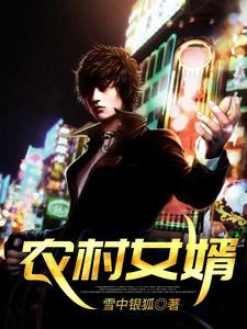 农村女婿全集阅读