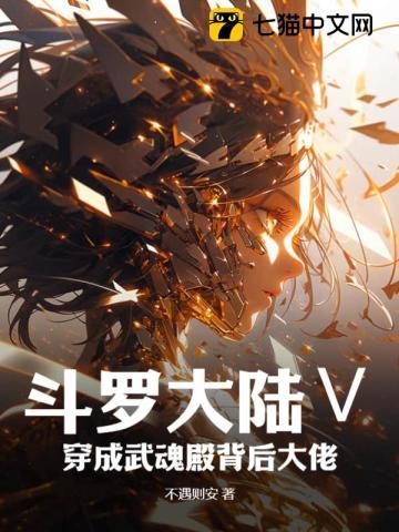 穿越斗罗大陆主角是武魂殿的人