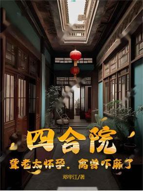 四合院之聋老太太侄孙子