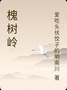 槐树岭邮政编码