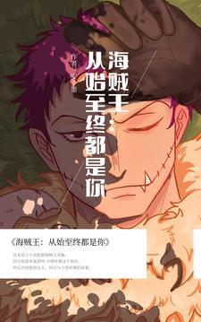 海贼王开始