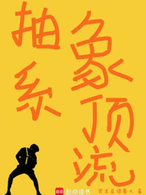 抽象饭圈