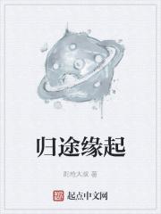 归途多远