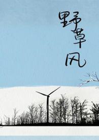 野草风by盒立