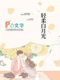 轻柔白月光陆白免费阅读全文