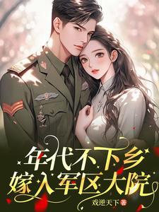 年代文里嫁退伍军人