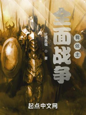 全面战争我做主txt