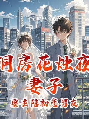 洞房花烛夜妻子要去陪初恋男友叶修远