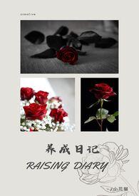 养成记攻略