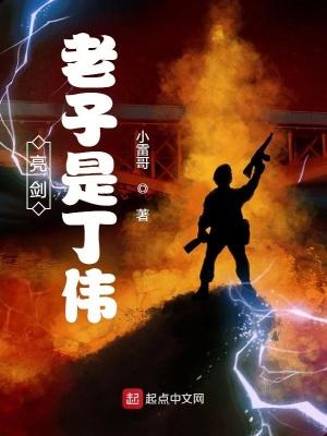 亮剑老子是丁伟笔趣阁