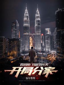 四合院穿越刘光天开局分家