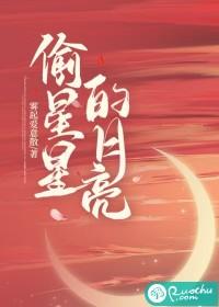 偷星星的月亮表达什么意思