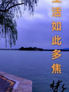 生活如此多焦经典语录