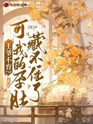 王爷不好了王妃动胎气