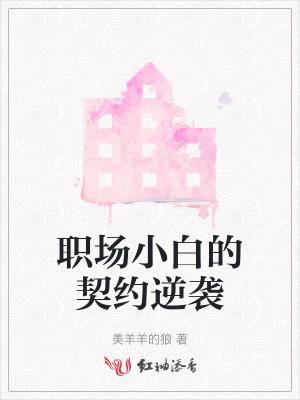 职场小白的修炼