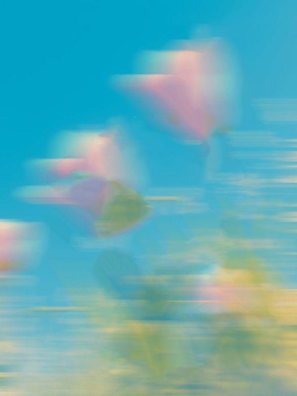 团长老公慌了全文