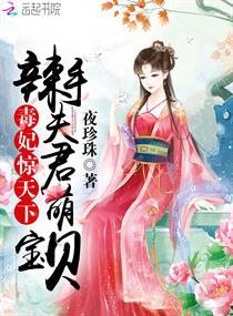 毒妃萌宝费阅读全文