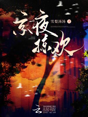 京夜掠欢大结局