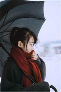 全能巨星成长计划[重生