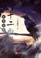 改变世界的十二面骰子图片