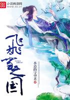 飞雪之国作文