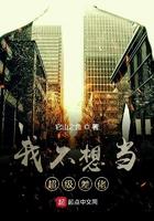 我不想当老大无错