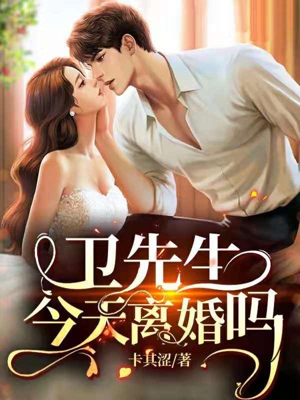 先生今天成功离婚了吗免费阅读