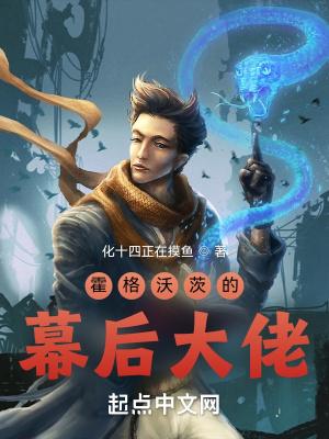 霍格沃茨的幕后大佬好看吗