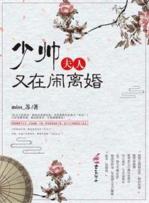 夫人又在闹离婚免费阅读