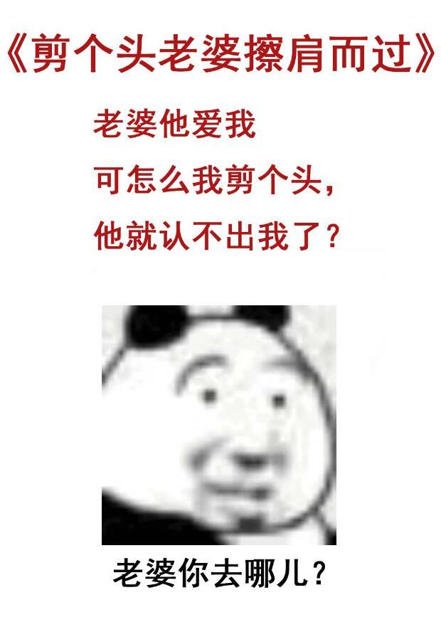 剪个头老婆擦肩而过晋江