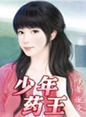 少年药王完结TXT