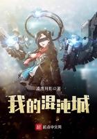 我的混沌城作者