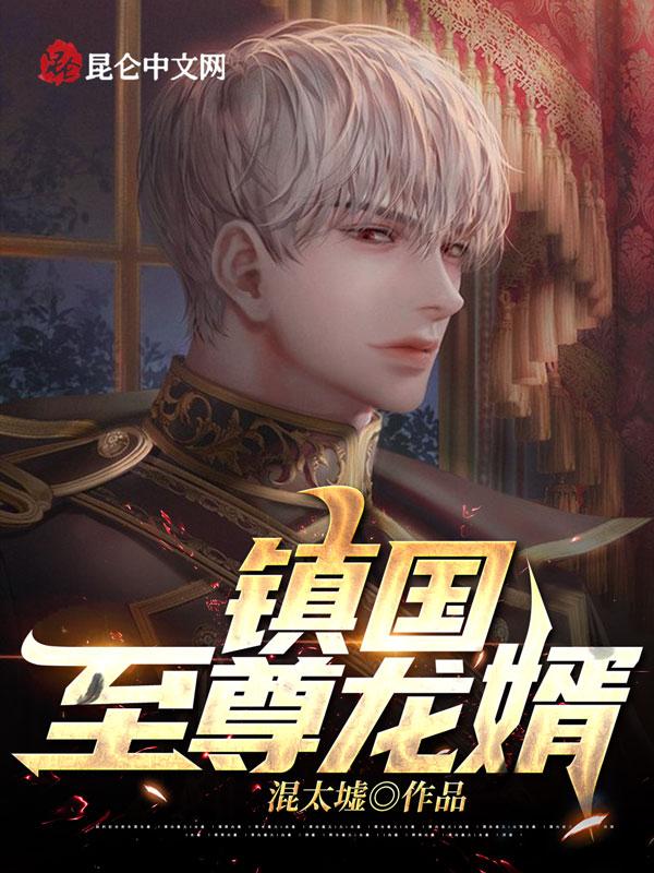 镇国龙婿txt