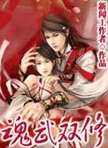 魂武双修完整版