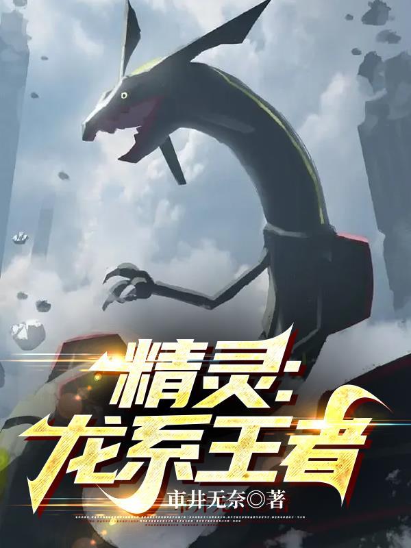 精灵龙系王者等级划分