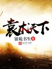 三国袁术天下