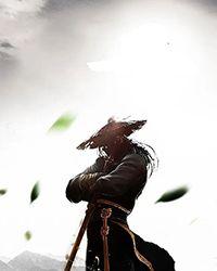 渡灵·guarding