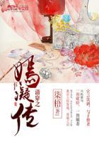 清穿之淑