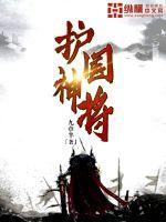 护国神将叶无道