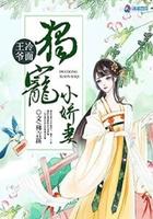 冷面王爷宠王妃
